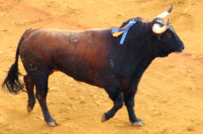 El cuarto, de Torrestrella.