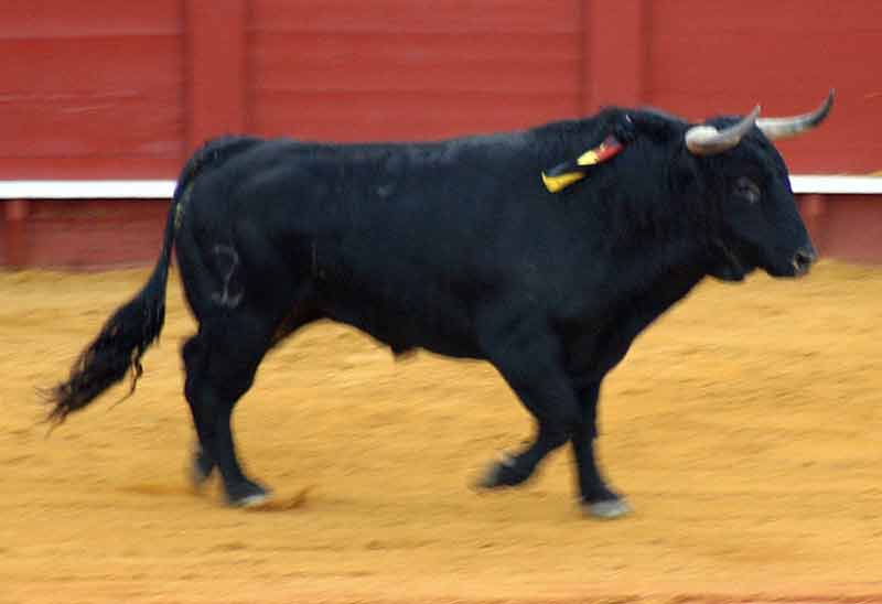 El quinto, de Victoriano del Río.