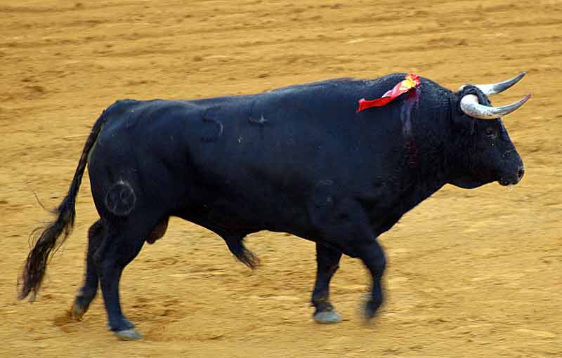 El sexto, de Parladé.