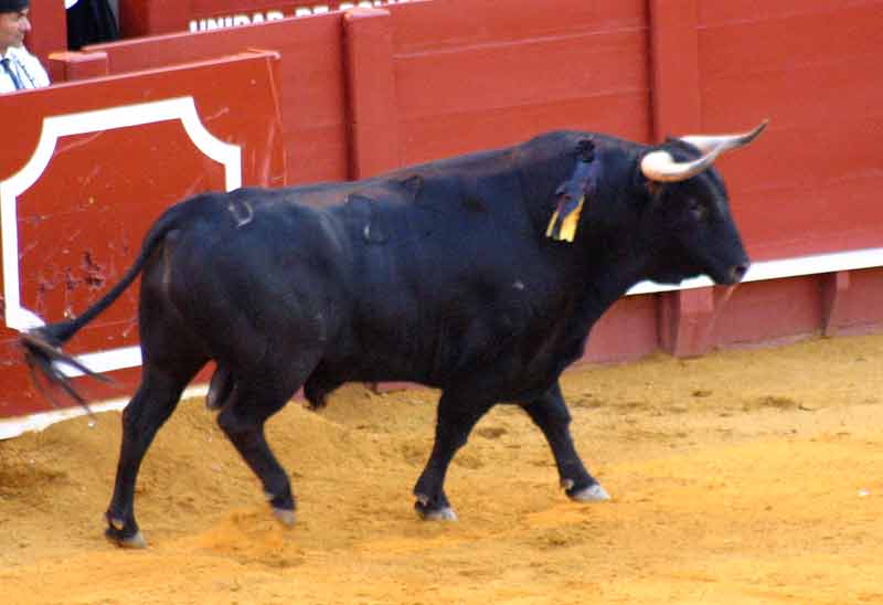 El sexto, de Victoriano del Río.