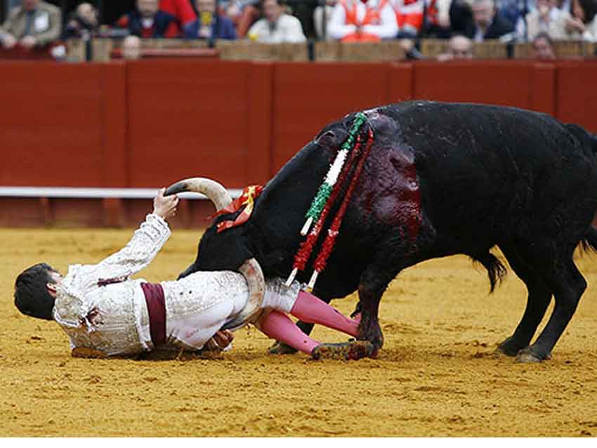 El novillero Gonzalo Caballero. (FOTO: Arjona)