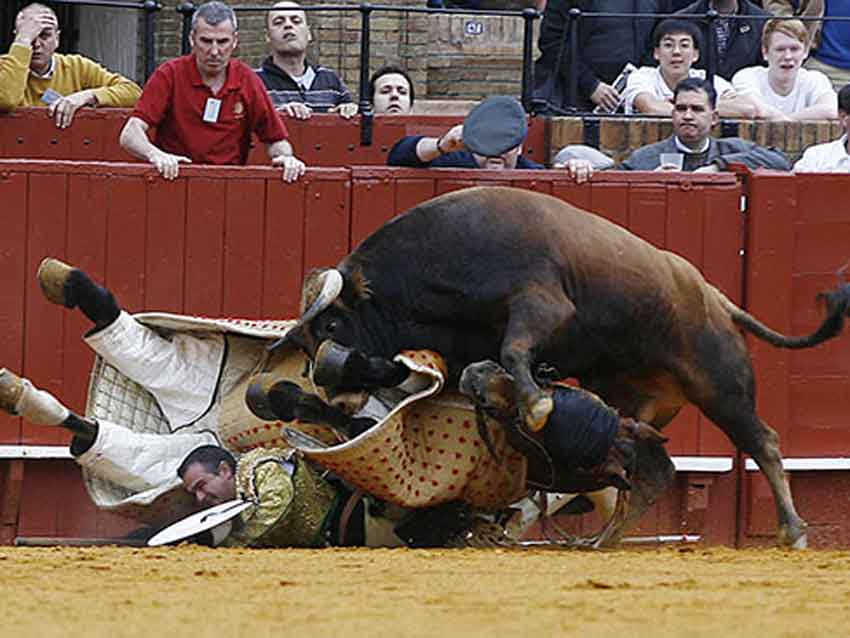 El picador Antonio Muñoz. (FOTO: Arjona)