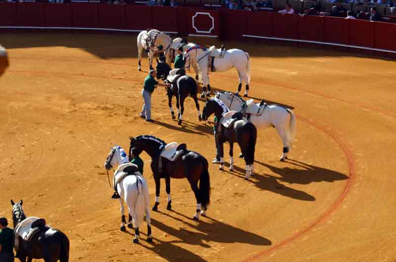 Ventura sacó como exhibición en el paseíllo a los 20 caballos de su cuadra.