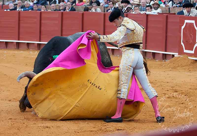 Javier Castaño.