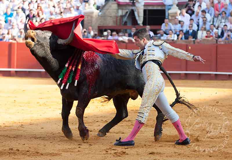 Javier Castaño.