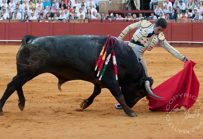 Javier Castaño.