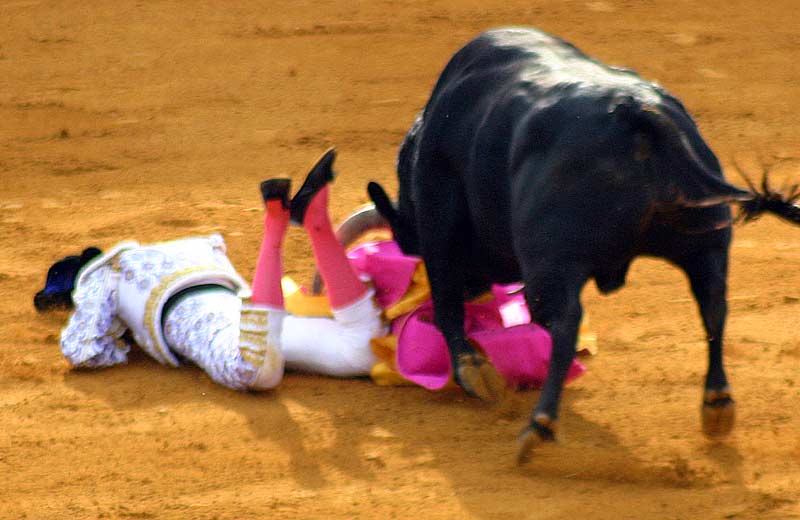 Secuencia de la cogida sin cornada de Sebastián Castella.