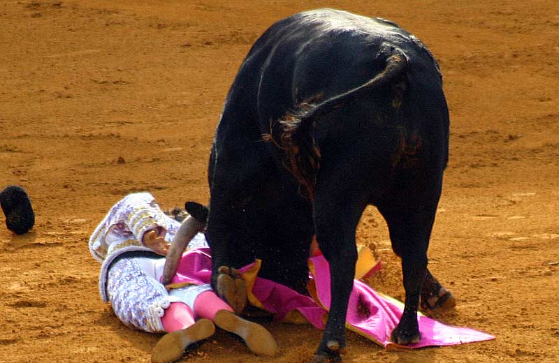 Secuencia de la cogida sin cornada de Sebastián Castella.