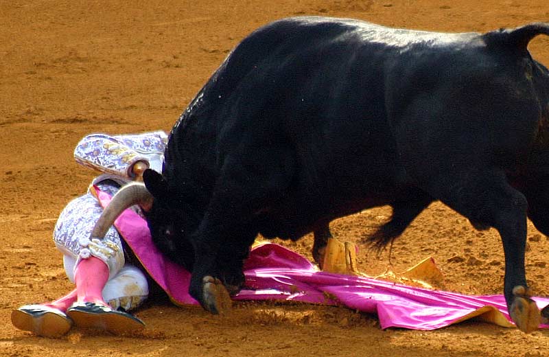 Secuencia de la cogida sin cornada de Sebastián Castella.