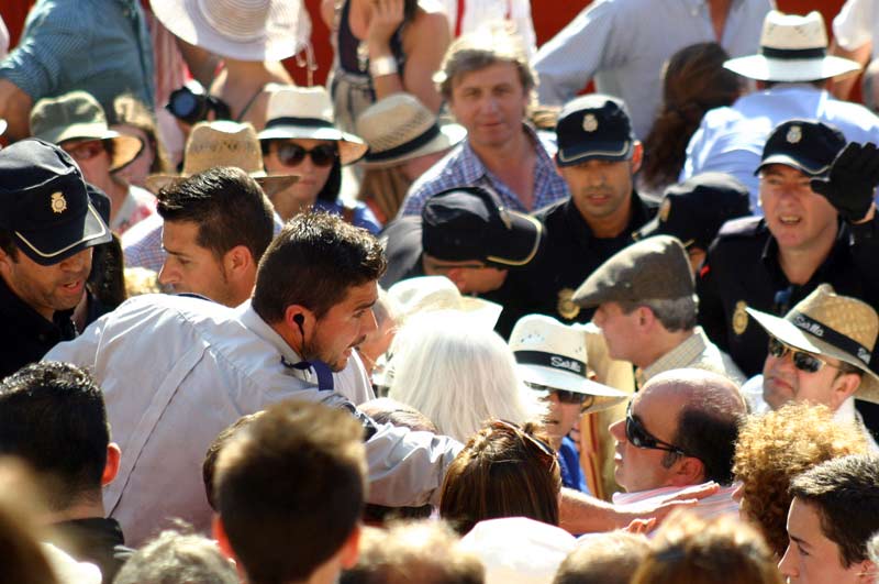 Varios miembros de la Policía y vigilantes de seguridad de la empresa Pagés intentan poner un poco de orden en los tendidos de sol.