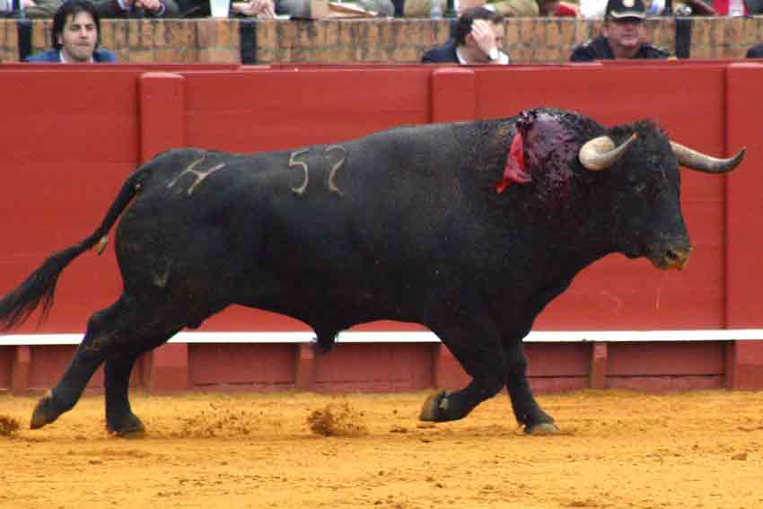 El tercer toro.