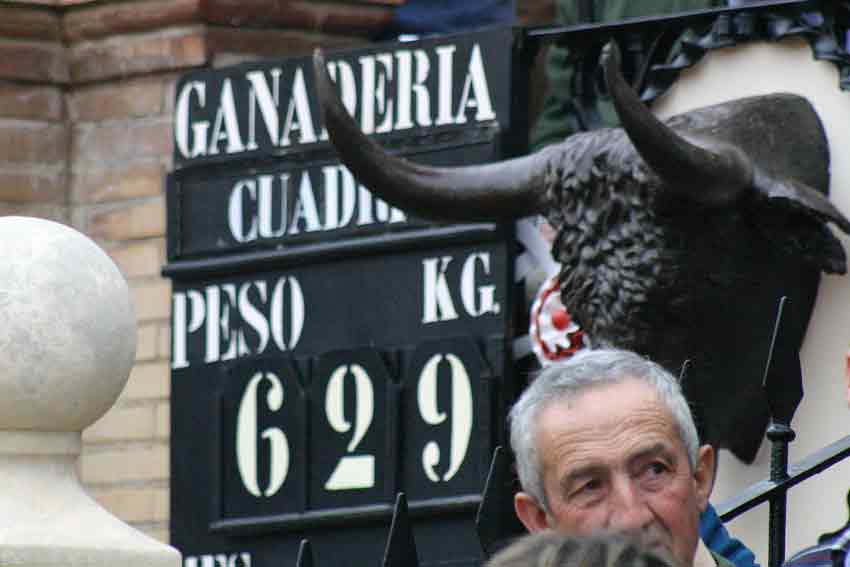 La corrida de Cuadri tuvo volumen; el sobrero cuarto pesó 629 kilos.