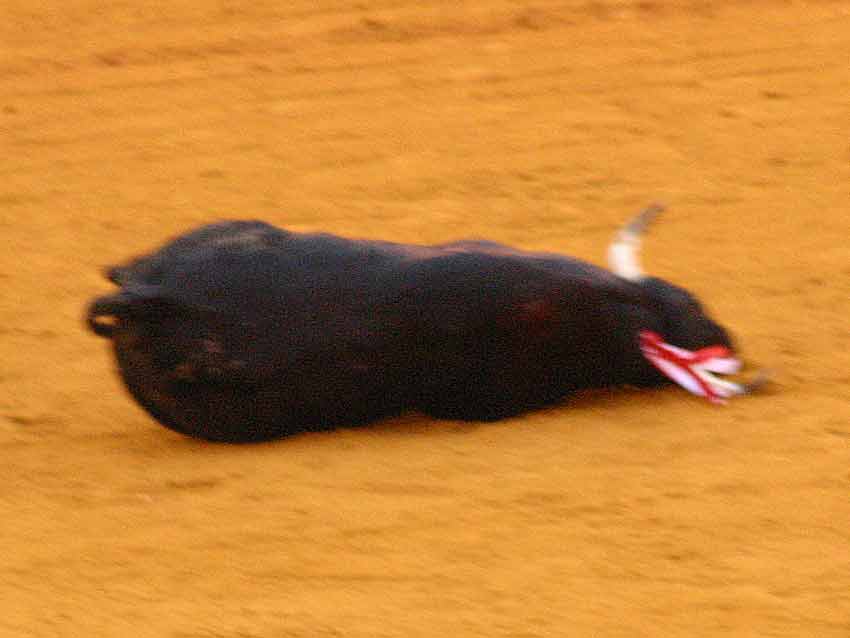 Indigno para Sevilla, (FOTO: Javier Martínez)