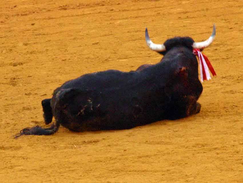 Indigno para Sevilla, (FOTO: Javier Martínez)