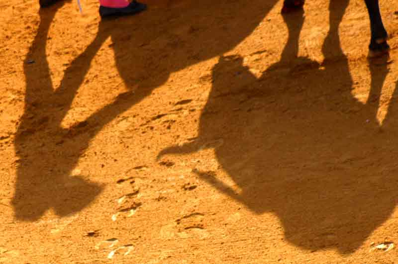 La sombra del toro y torero proyectada sobre el dorado albero.