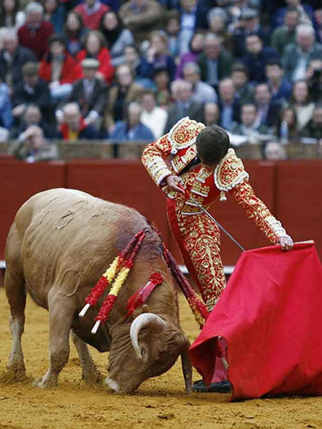 Un excelente y largo natural de Lama de Góngora a su primero. (FOTO: Arjona/lamaestranza.es)