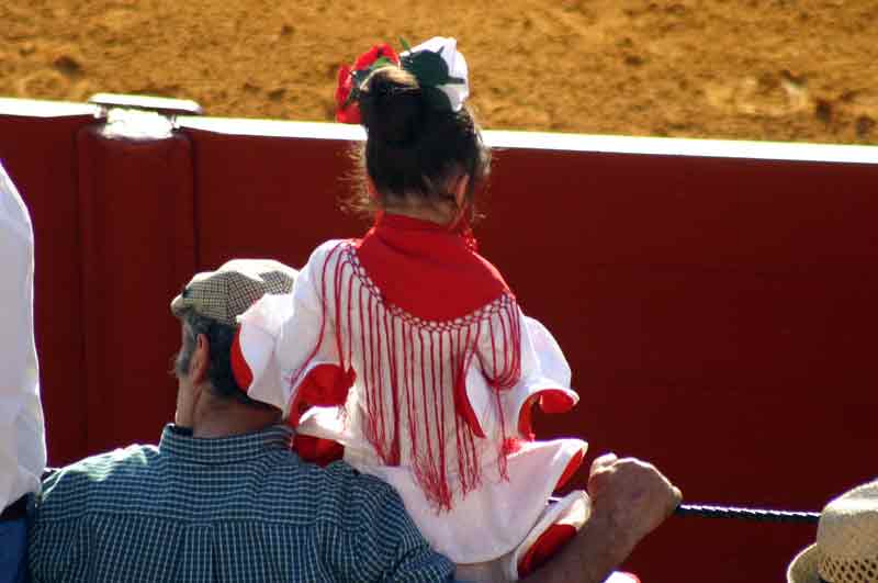 Ya van apareciendo por los tendidos de la plaza las primeras flamencas.