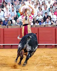 Juan José Padilla en el tercio de banderillas. (FOTO: lopezmatito.com)