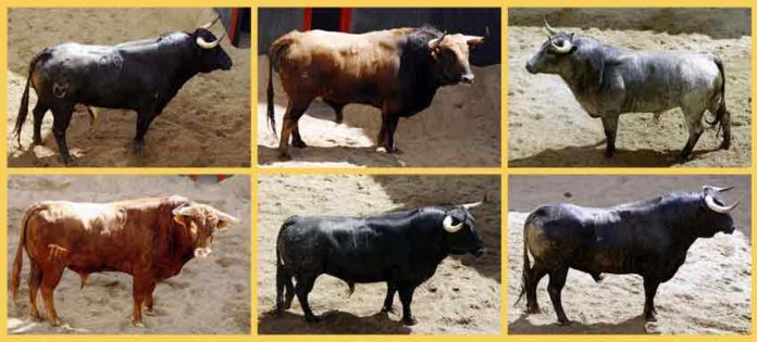 Los seis toros que lidiará esta tarde Manzanares, por orden de salida. (CLICK PARA AMPLIAR)