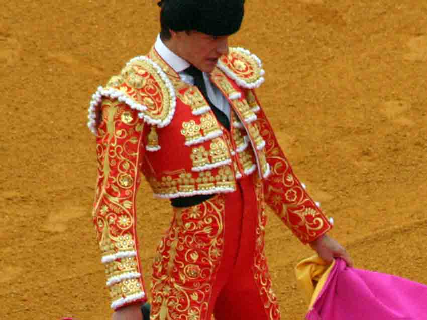 El bordado de Lama de Góngora, inspirado en la reja de la Puerta del Príncipe.