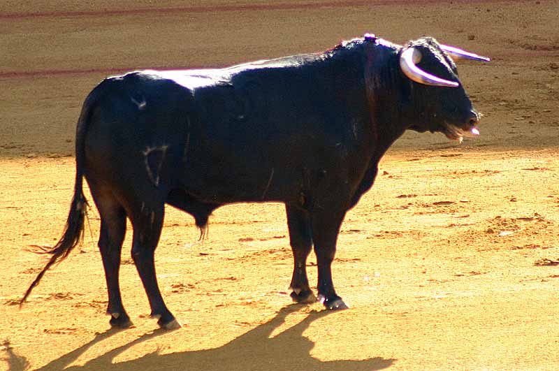 El primero de Villamarta.