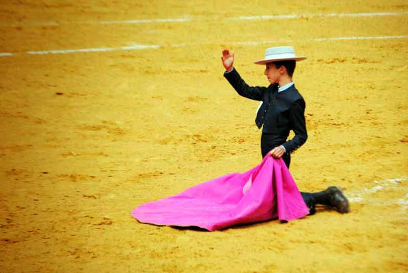 Calerito avisa con su brazo que ya pueden dar salida al eral para recibirlo a portagayola.