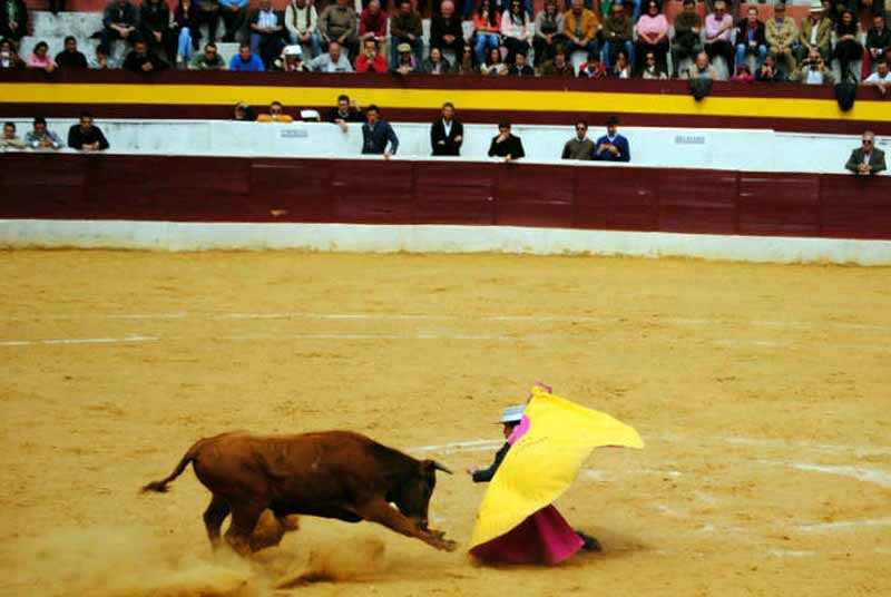 Tras ser arrollado en el primer intento, de nuevo se planta de rodilla y logra la larga cambiada.