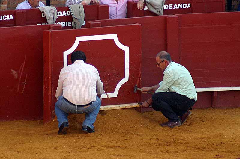 Los carpinteros, manos a la obra.