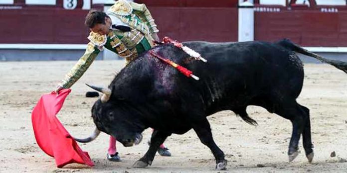 El Cid, en un derechazo esta tarde en Madrid. (FOTO: las-ventas.com)