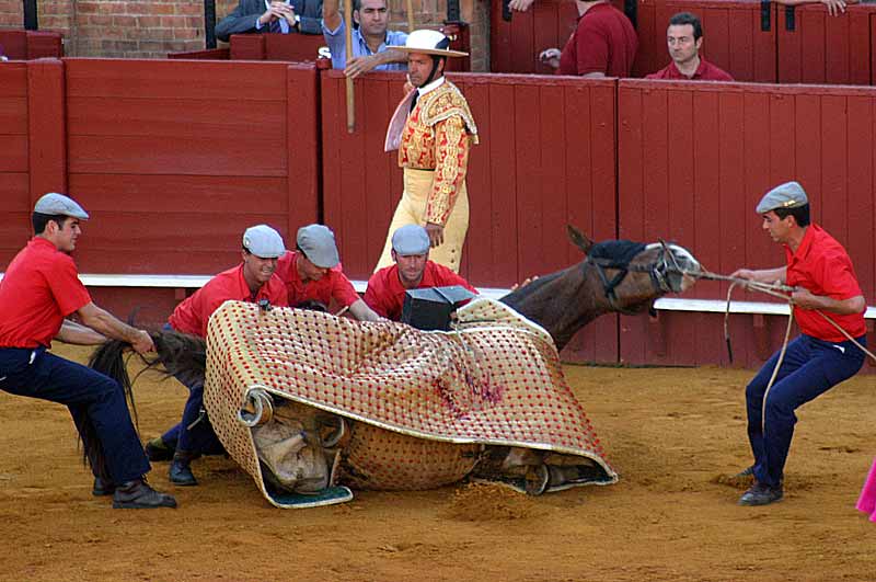 Picador derribado, y trabajo para los monosabios.