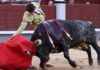 Antonio Nazaré, con uno de sus toros de Los Bayones, hoy en Madrid. (FOTO: las-ventas.com)