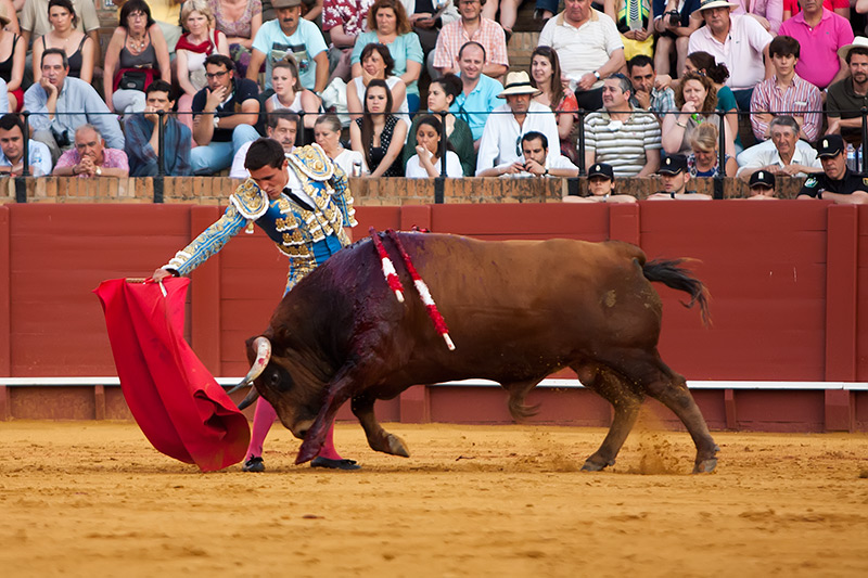 Miguel Ángel Moreno.