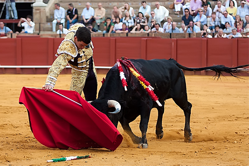 Tomás Campos.