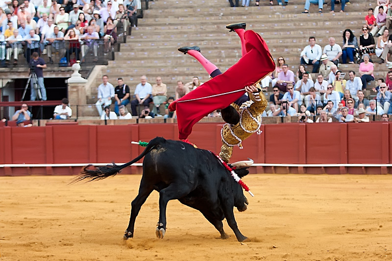 Tomás Campos.