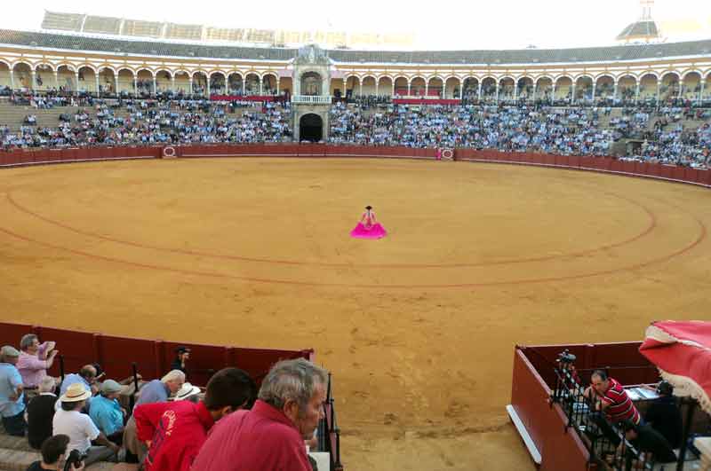 El inmenso ruedo de la Real Maestranza visto desde toriles.