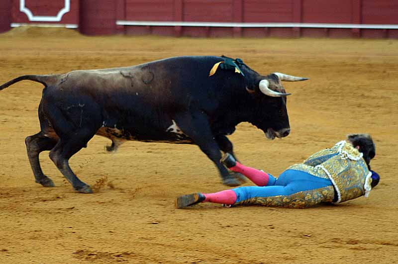 El francés fue volteado cuando lanceba ya de pie.