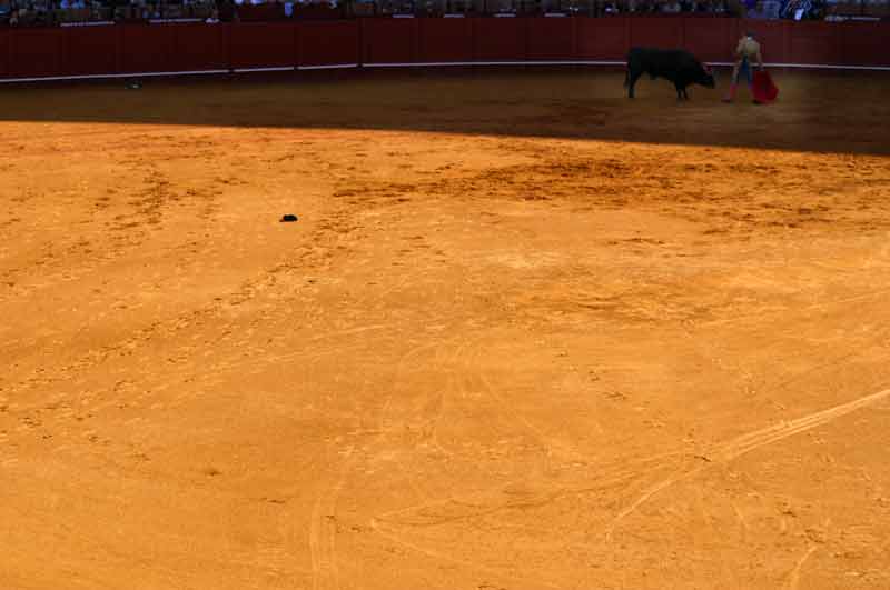 Hacía calor; hasta el torero buscaba el trocito de sombra en el albero para torear.