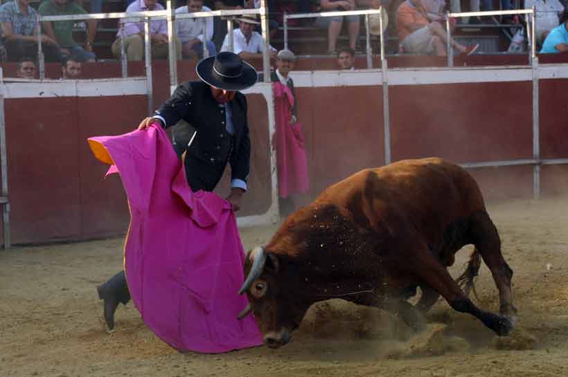 Tomás Campuzano.