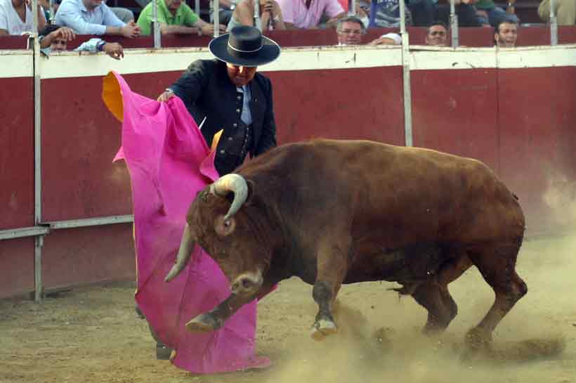 Última faena de Tomás Campuzano.