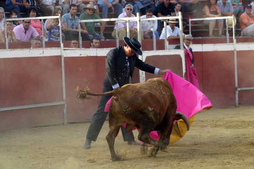 Última faena de Tomás Campuzano.