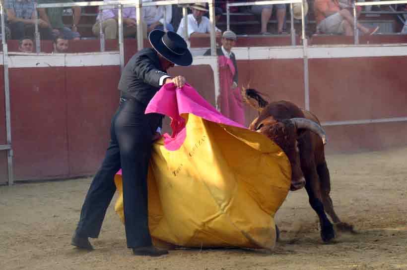 Última faena de Tomás Campuzano.