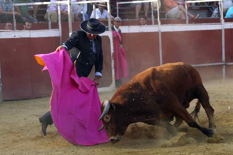 Última faena de Tomás Campuzano.