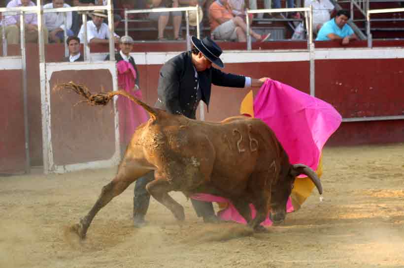 Última faena de Tomás Campuzano.