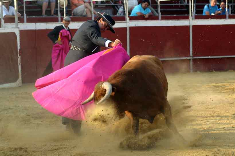 Última faena de Tomás Campuzano.