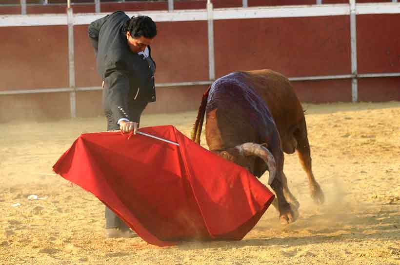 Última faena de Tomás Campuzano.