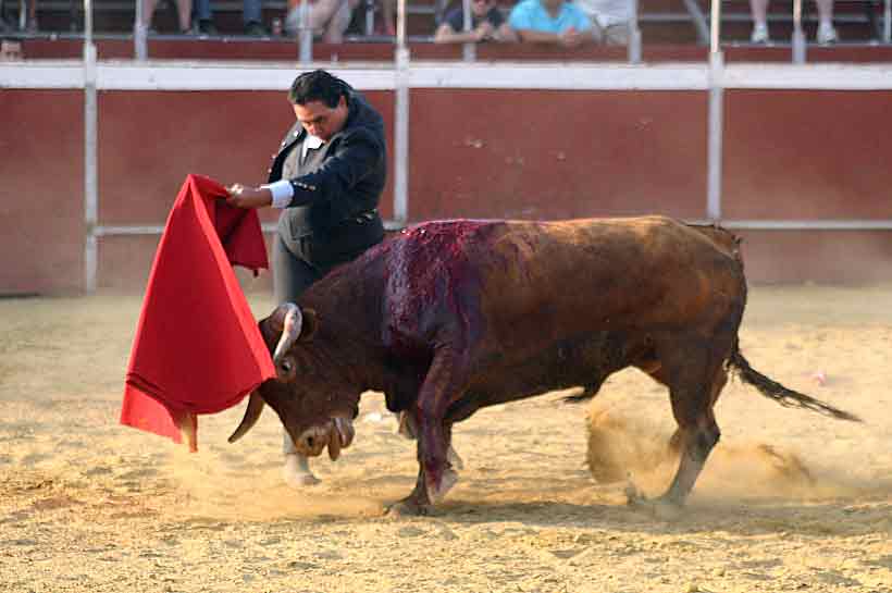 Última faena de Tomás Campuzano.