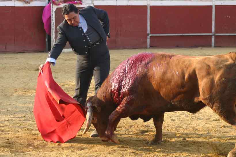 Última faena de Tomás Campuzano.