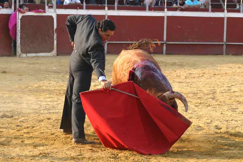 Última faena de Tomás Campuzano.