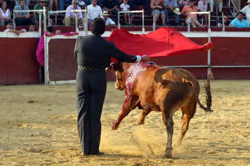 Última faena de Tomás Campuzano.