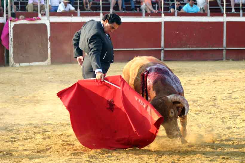 Última faena de Tomás Campuzano.